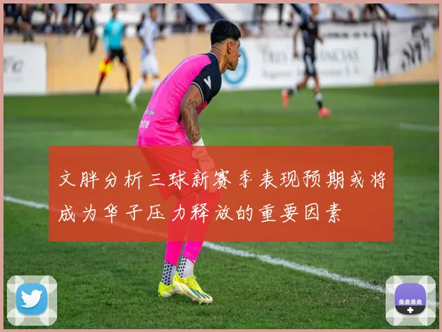 文胖分析三球新赛季表现预期或将成为华子压力释放的重要因素