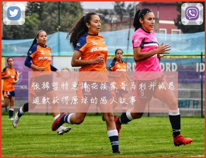 张稀哲特意捧花接蒙哥马利并诚恳道歉获得原谅的感人故事