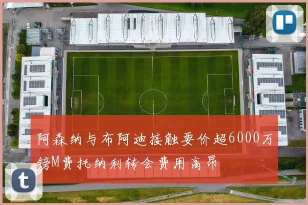 阿森纳与布阿迪接触要价超6000万镑M费托纳利转会费用高昂